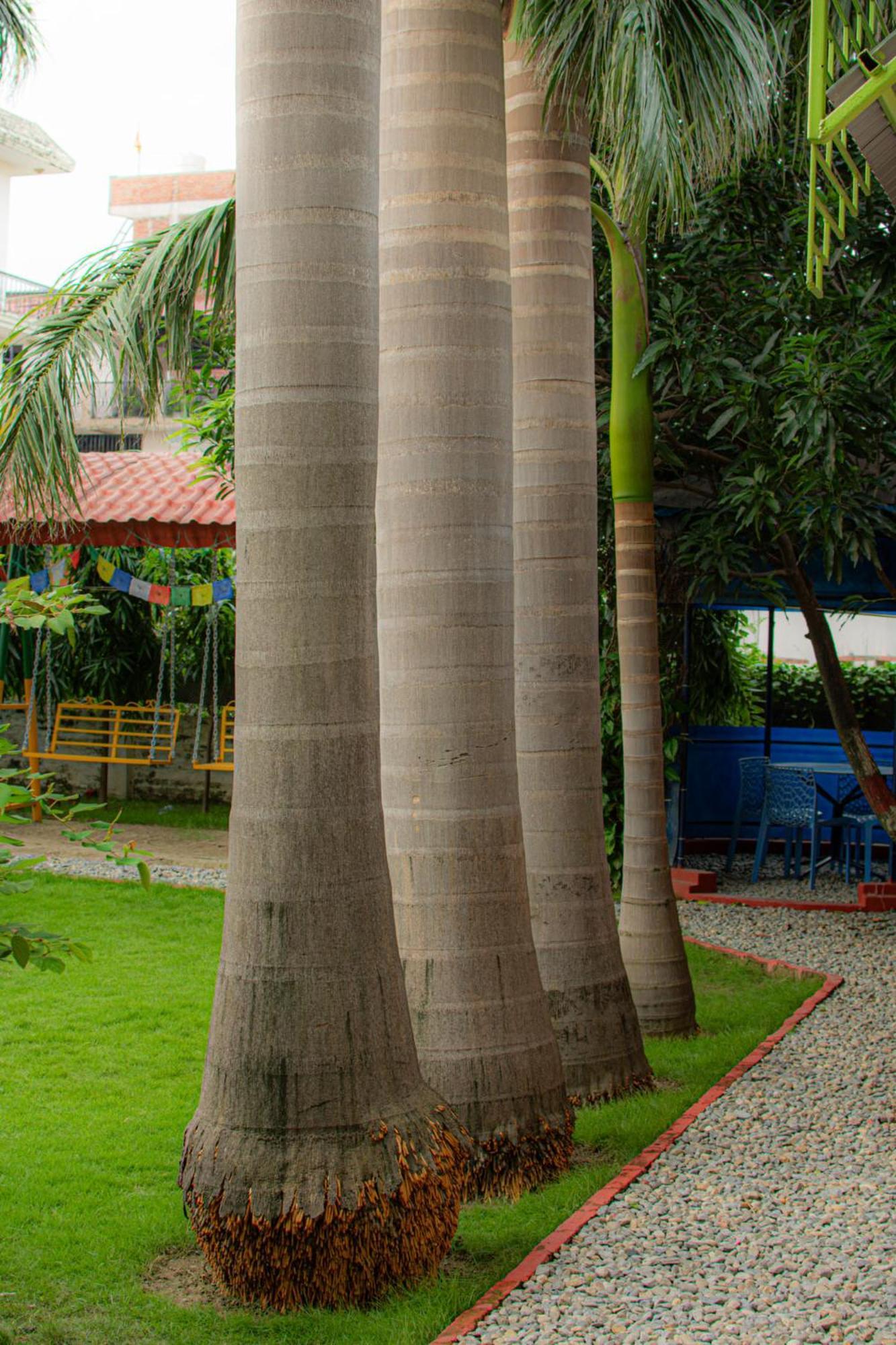 Galaxy Guest House Bhairāhawā Esterno foto